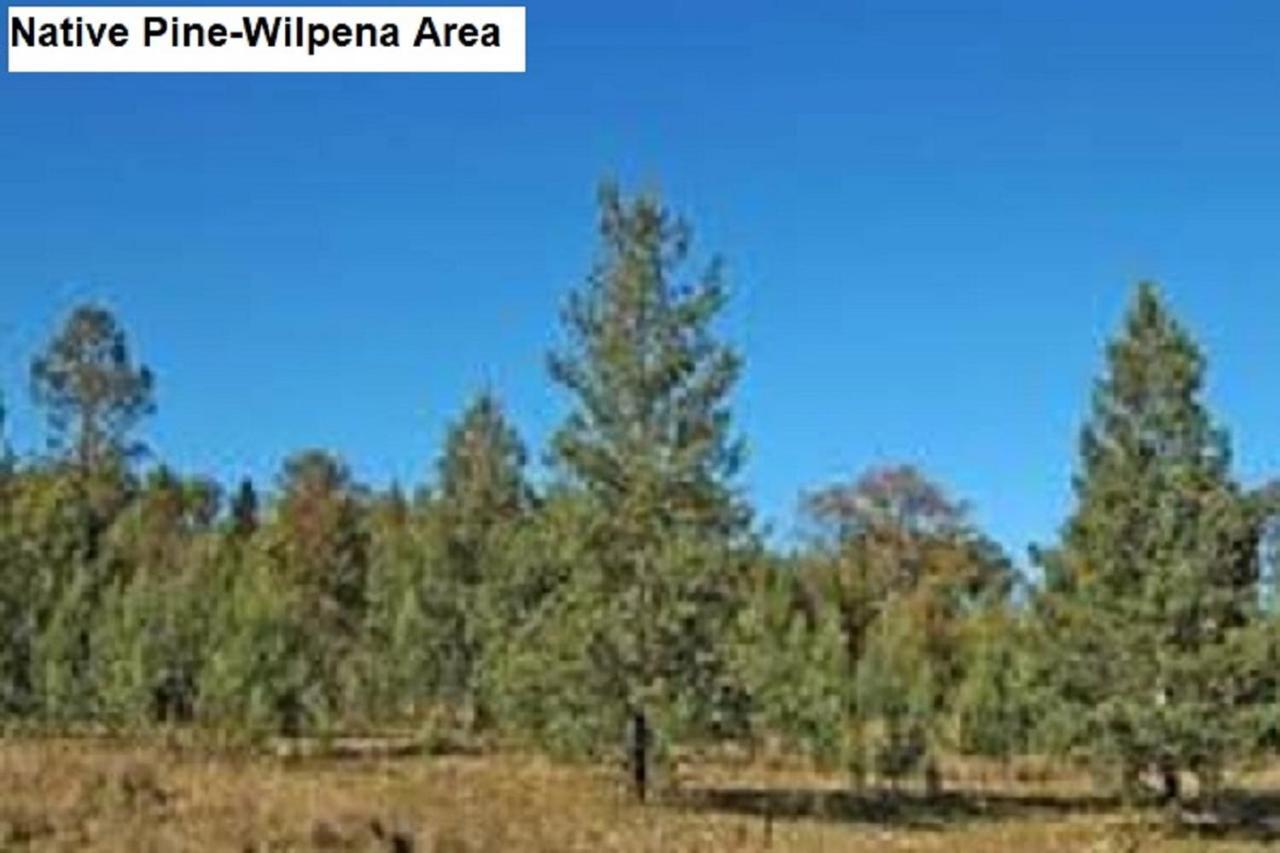 Holiday home Flinders Ranges *