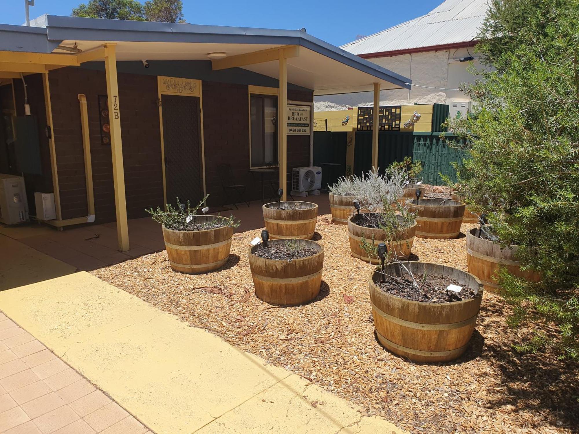 Flinders Ranges * Hawker